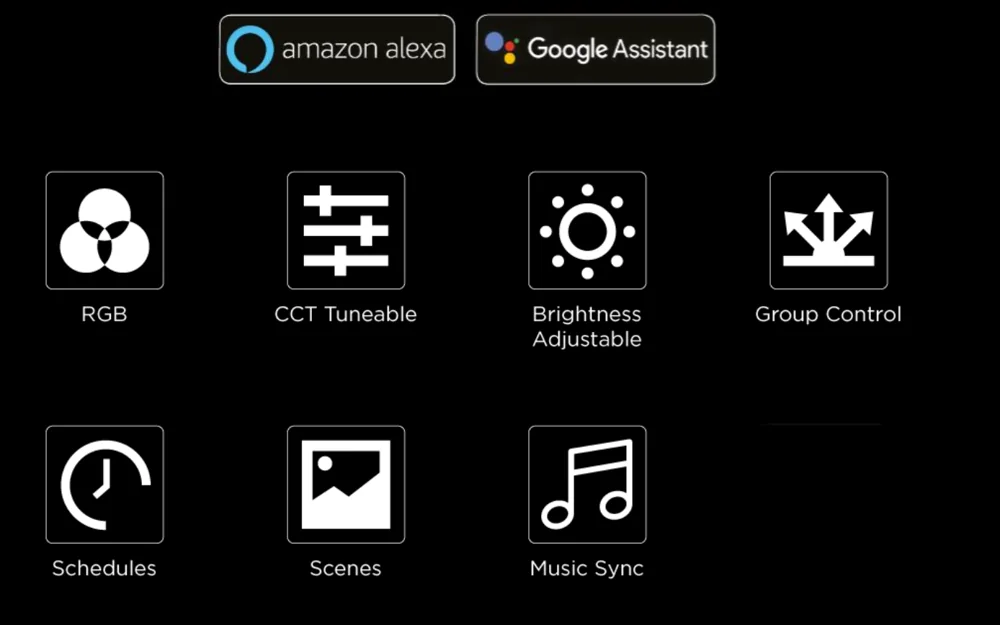 Control features shown: RGBW, adjustable white, dimming, groups, schedules, scenes and music sync. Voice-assistant availability depends on the compatible app and connection setup.